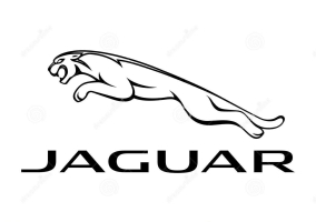 NF Automotive logo-jaguar-logo-jaguar-car-color-vector-format-aviable-ai-124808872.jpg